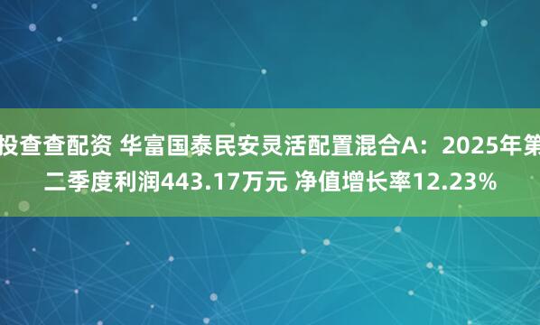 投查查配资 华富国泰民安灵活配置混合A：2025年第二季度利润443.17万元 净值增长率12.23%