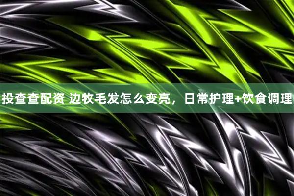投查查配资 边牧毛发怎么变亮，日常护理+饮食调理
